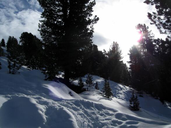 Bei dieser Waldschneise geht&#039;s aufwärts.