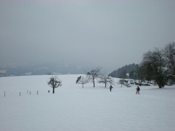 Abstieg über Halden - Bühl - Oberbruch zurück zum Hotel Lingenau.