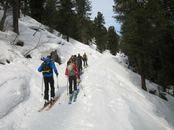 Gemütlicher Start entlang des Karrenweges zur Mittergrathütte.