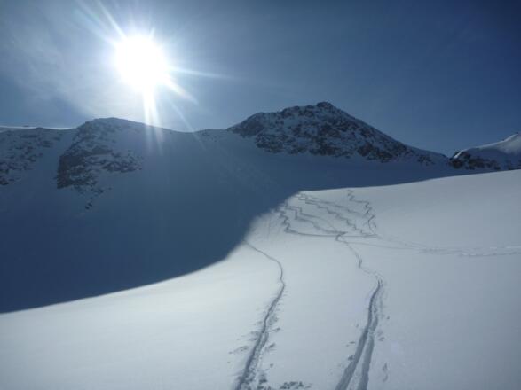 Abfahrt vom Gipfel über den Rotgratferner.
