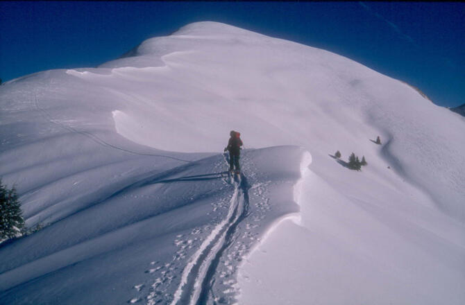 Die letzten Meter zum Gipfel