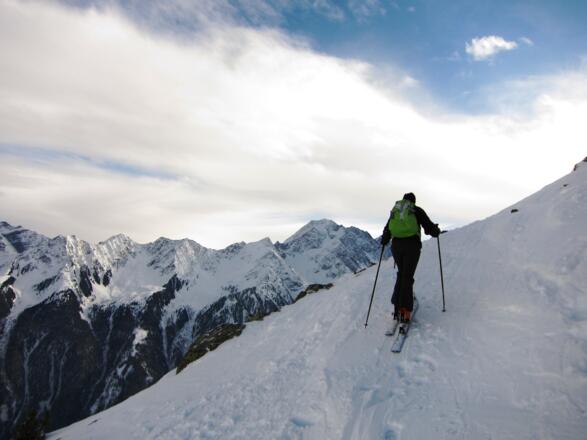 Im Hintergrund seine Majestät, der Habicht.
