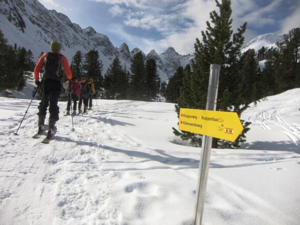 Im Mittertal, hinten die Mittertaltürme und der Mittertalkopf.