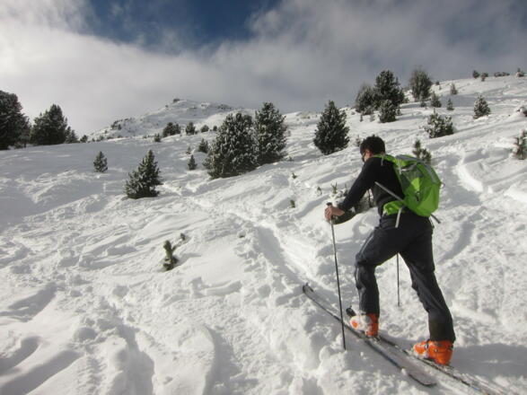 Das Gelände bleibt mäßig steil (unter 30°), im Hintergrund der Gipfel.