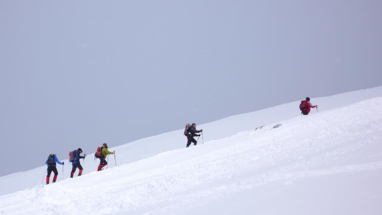 Im Gipfelhang der Seekarlspitze