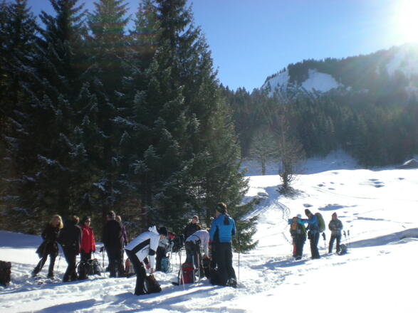 Unterhalb der unteren Falzalpe.