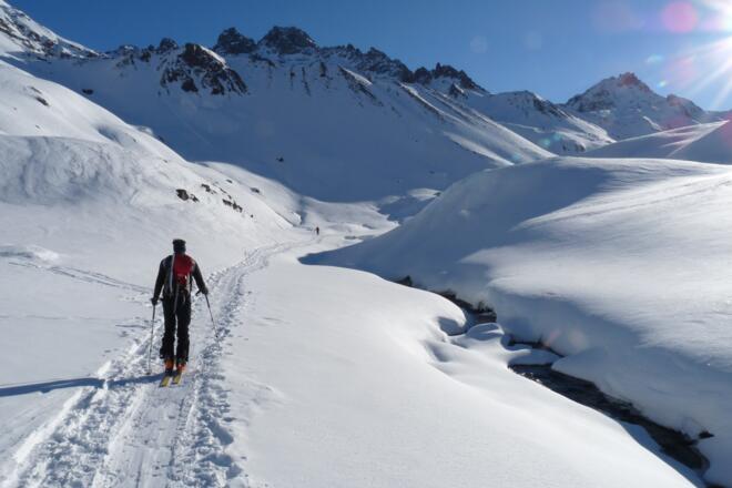 ... immer die Fluchthörner im Blickfeld.
