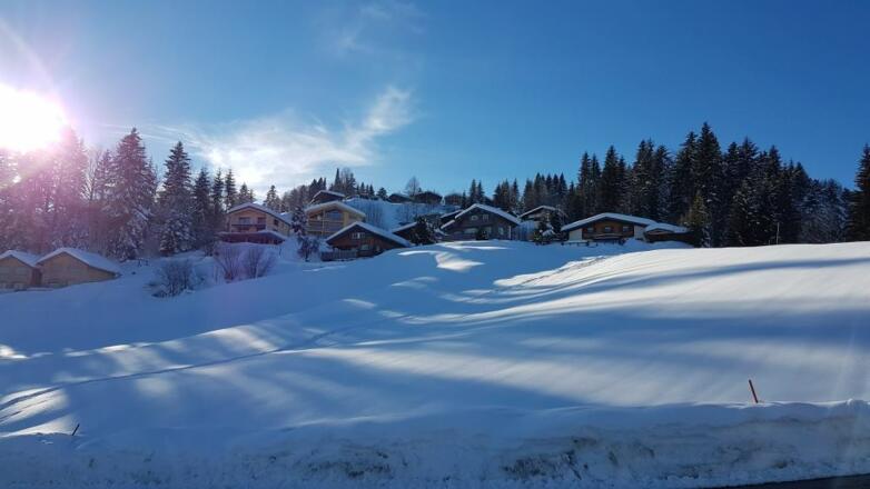 Die Ferienhäuser am Kaltenbrunnen