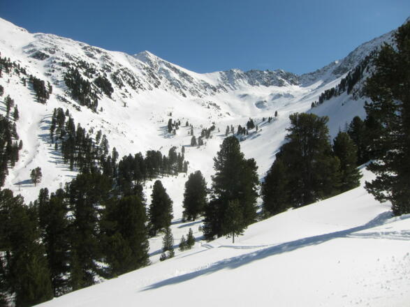 Blick ins Schartlestal, durch das der zweite Aufstieg erfolgt. Hinten der Mitterzaigerkopf.