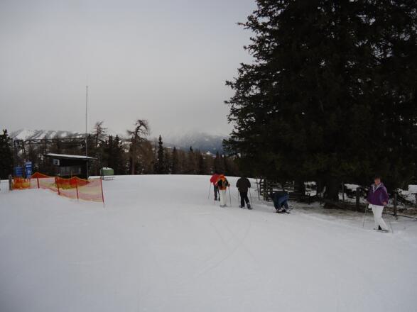 Hinter der Talstation des Schleppliftes geht man bis zum Ende der Wiese bergab und gleich danach in den Wald