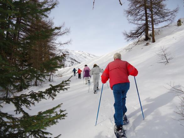 Die letzten Meter am Trogweg zurück im Skigebiet hier wieder links halten um zur Oberfeldalm zu gelangen