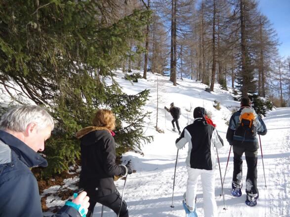 Nach kurzem Abstieg erreicht man ein Tor, gleich nach diesem steiget man im 90 Grad Winkel nach links hinauf