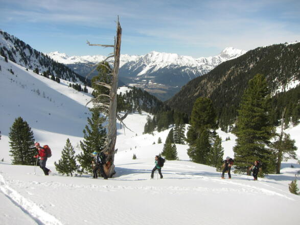 Aufstieg durchs Schartlestal entlang des Stamserbachs.