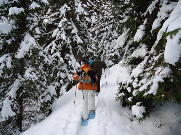 Der Aufstieg am Trogweg
