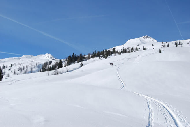 Aufstieg zum Plattenkogel