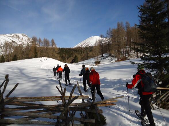 Nach ca. 40min Gehzeit erreichen wir die Lichtung vor der &quot;Eberlhütte&quot; (nicht bewirtschaftet)