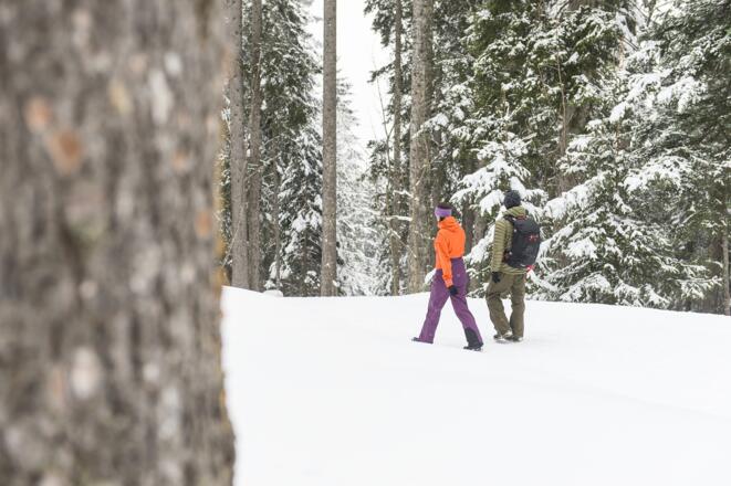 Winterwanderweg zum Steinbild