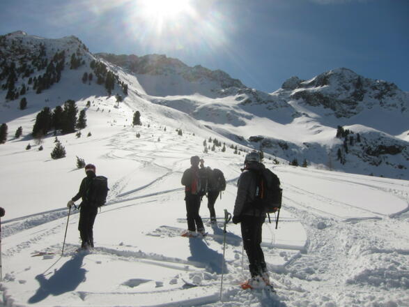 Am Nordrücken zum Hochwanner, dem Übergang ins Schartlestal.