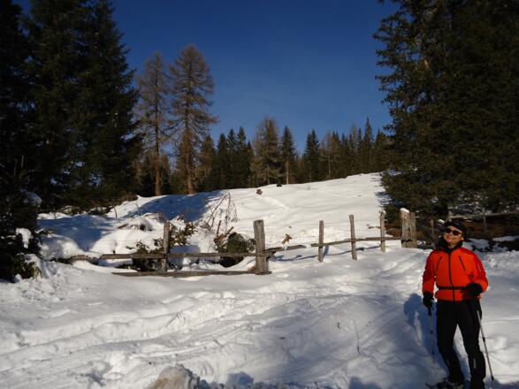Einstieg der Tour gegenüber Gasthof Ludlalm (Gelbes Schild &quot;Lessach 1h&quot;)