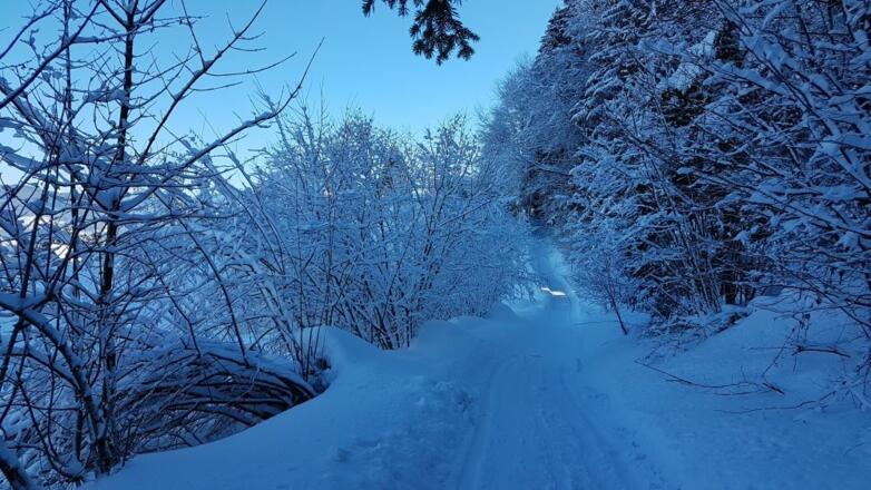 Winterwanderweg von Alberschwende nach Egg