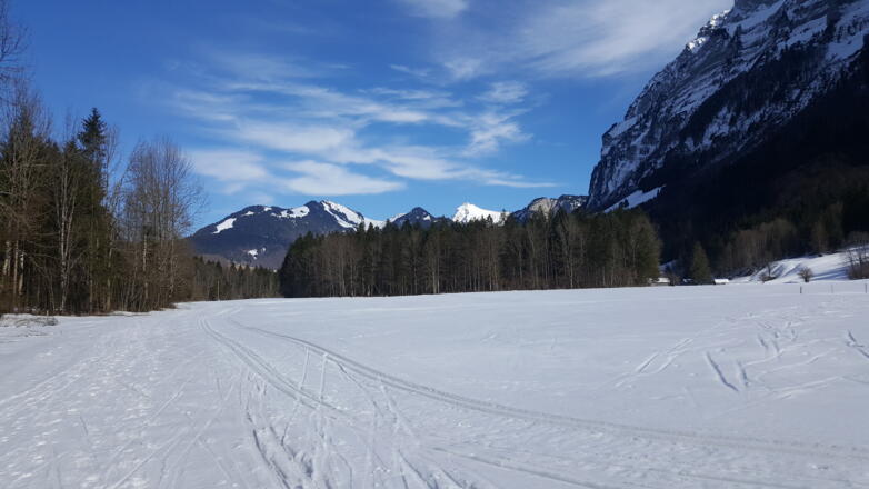 Winterwandern in Mellau