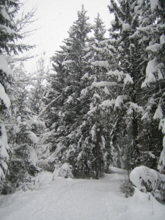 Am Anfang der Rodelbahn