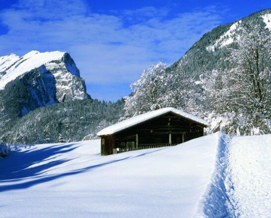 Natur-Erlebnis Holdamoos
