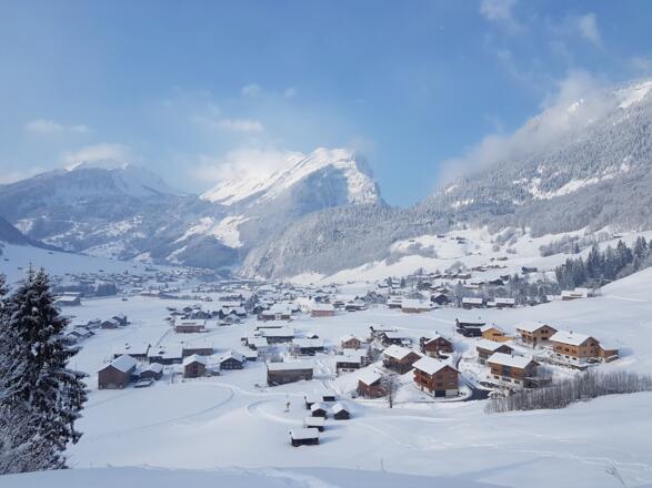 Blick vom Holdamoos auf das Dorf Au