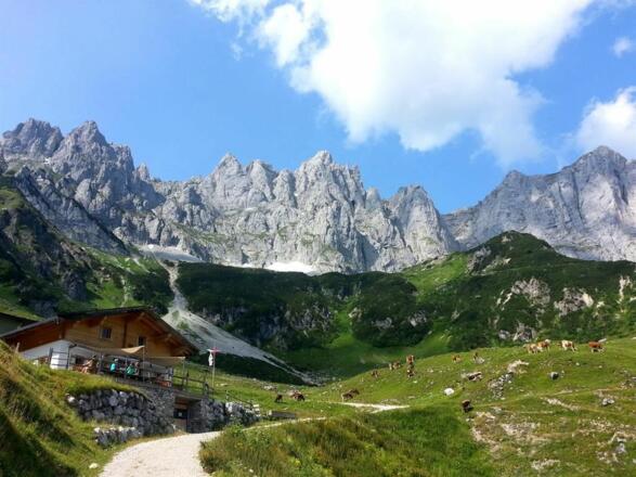 Regalm mit Kaisergebrige