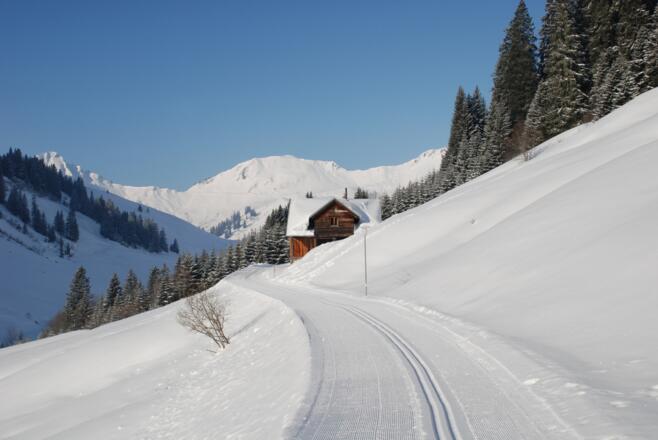 Loipen und Wege in Damüls
