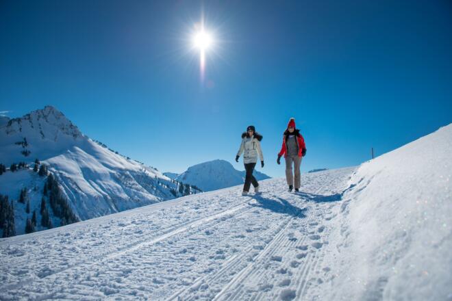 Winterwandern in Damüls-Faschina