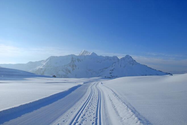 Loipen und Wege in Damüls