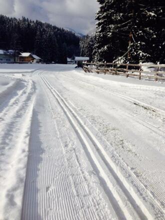 Erste Loipenspuren im Schnee