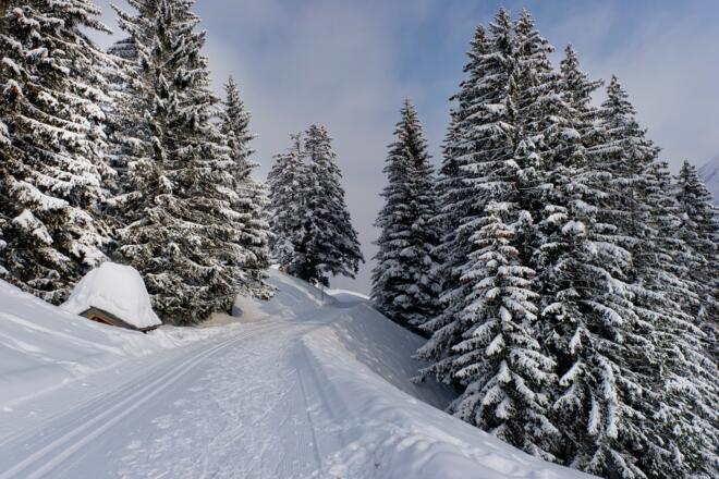Winterwandern in Damüls