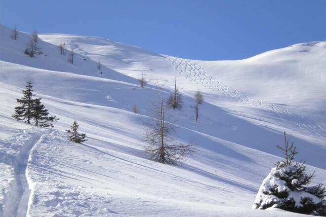 Aufstieg zum Karkogel