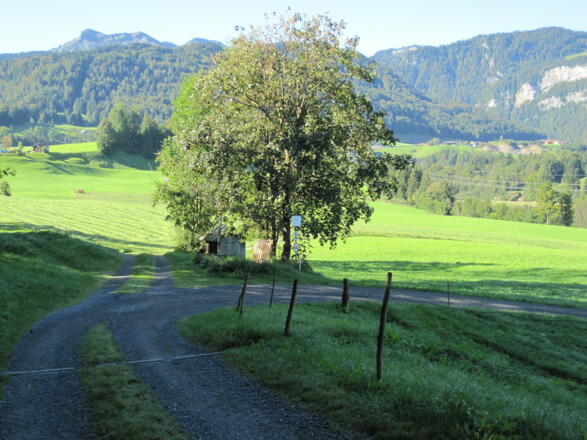 Sagenweg in Andelsbuch Parzelle Wirth
