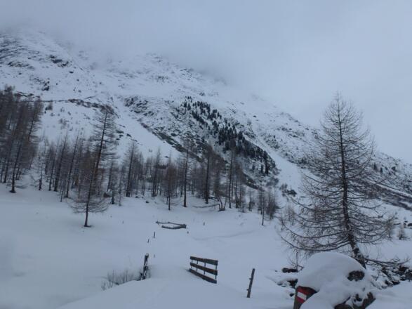 In Unteren Lareintal an der Lareinalpe angekommen.