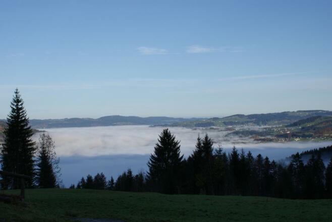 Abendstimmung auf der Niedere