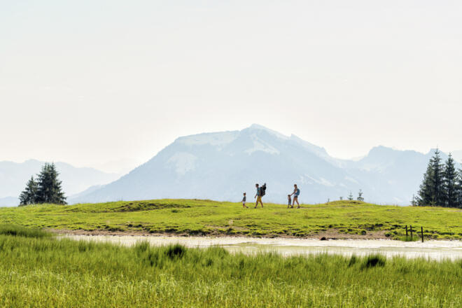 Panoramaweg auf dem Bödele