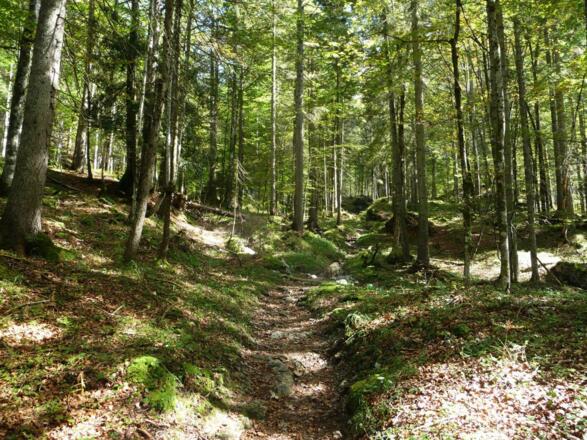 Hans-Berger-Haus Richtung Stripsenjochhaus_Wilder Kaiser