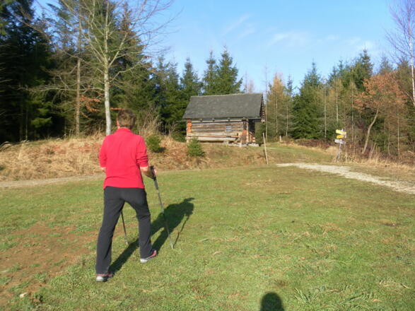 Wiese am Jagastüberl