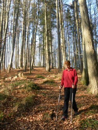 Abstieg am Ostrücken