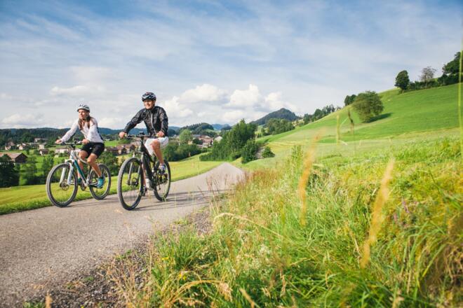 Radweg Bregenzerwald