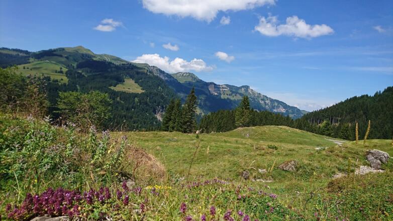 Und immer wieder herrliche Ausblicke