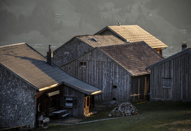 Hammeratsbergvorsäß in Schetteregg