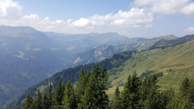 Von der Hangspitze Richtung Guntenalpe