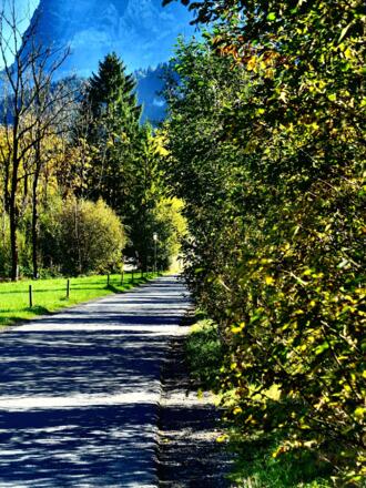 Weg entlang der Bregenzerach