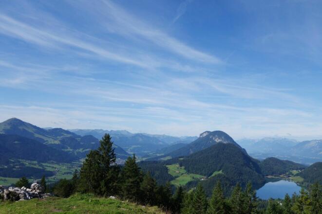 Scheffau_Steiner-Hochalm_Aussicht_Wilder Kaiser