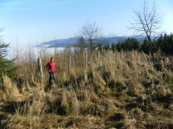 verwachsene Gipfelkuppe