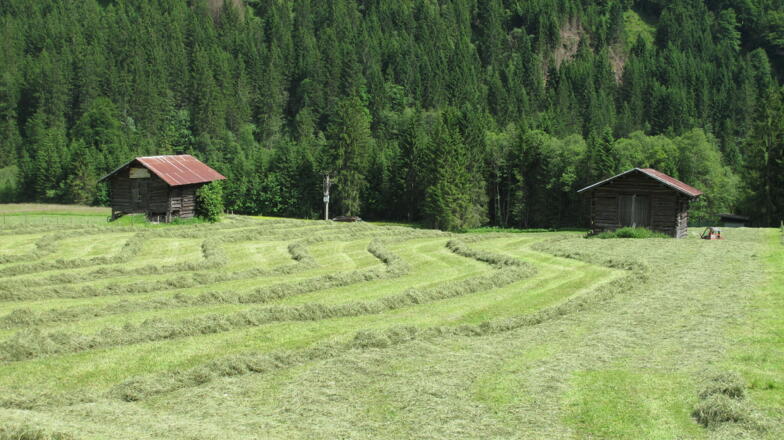 Kleinwalsertal | Walserstall Mittelberg